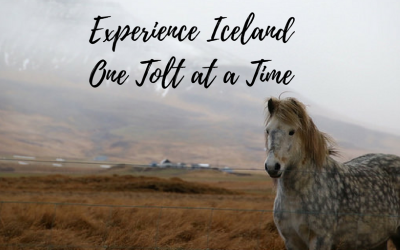 Experience Iceland One Tolt at a Time